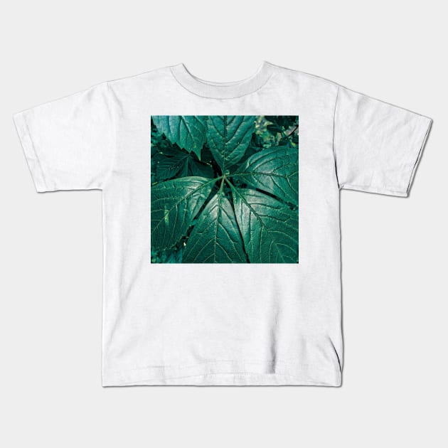 Big Green Leaves Kids T-Shirt by DesignMore21